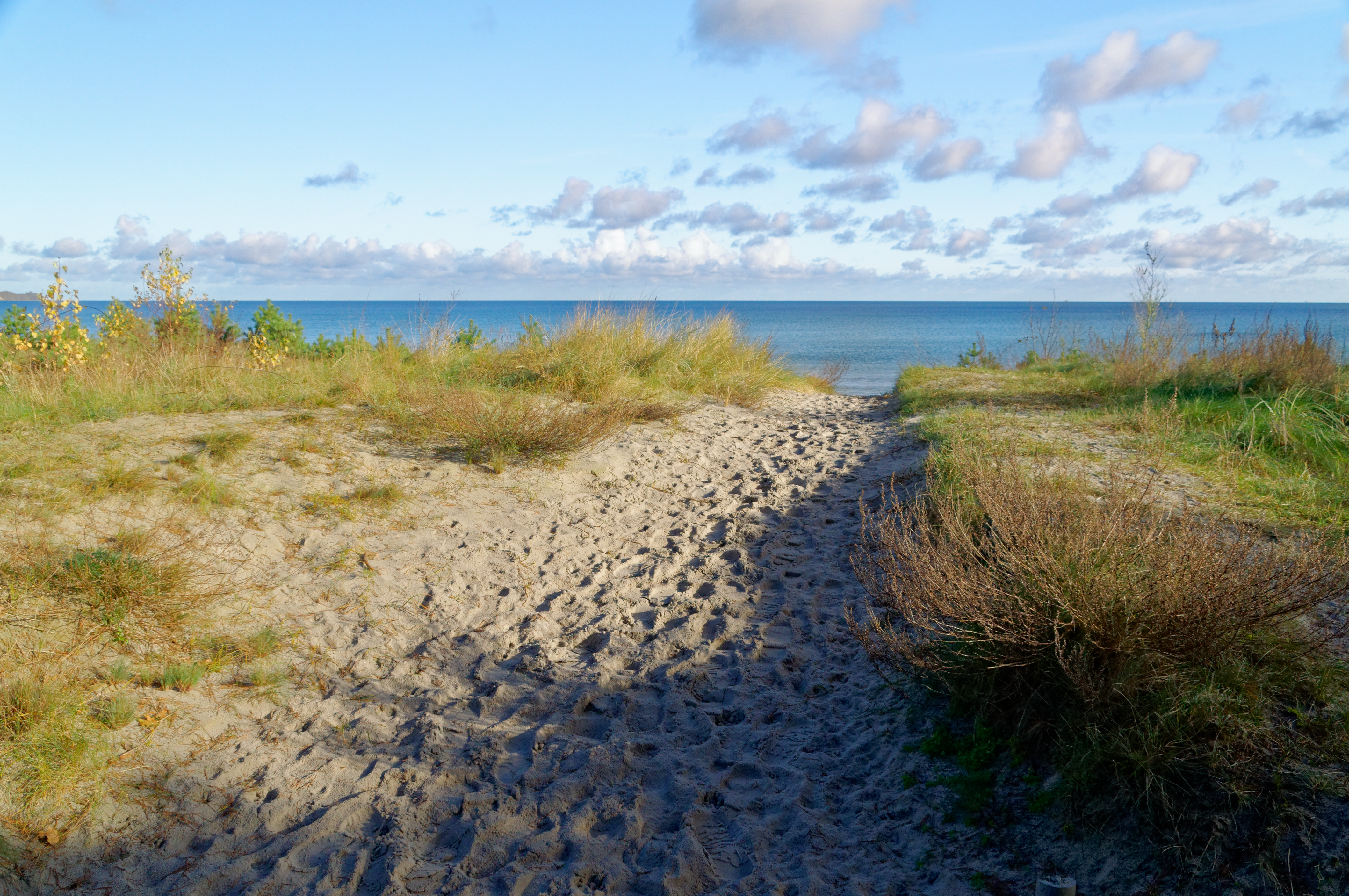Impressionen